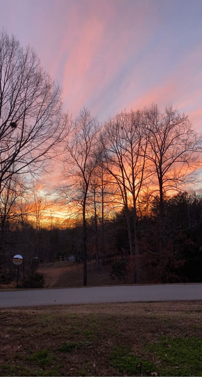 A Peak Into Training Camp